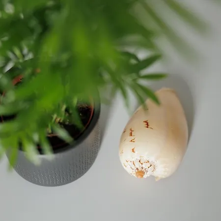 Ilios - Next To Apartmán *