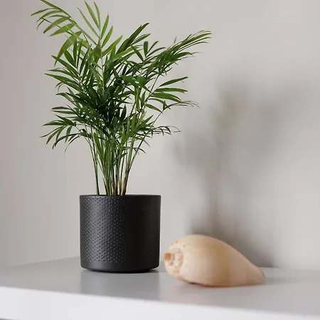 Διαμέρισμα Ilios - Next To Γουβιά