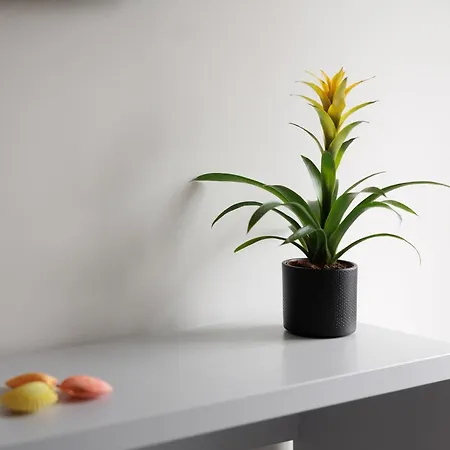 Ilios - Next To Διαμέρισμα *